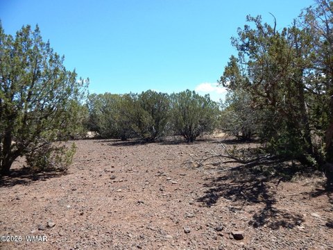 Residential Land in Show Low