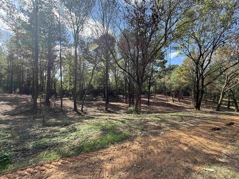 Residential Lot in Somerset Subdivision