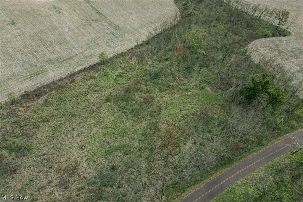 Picture 3