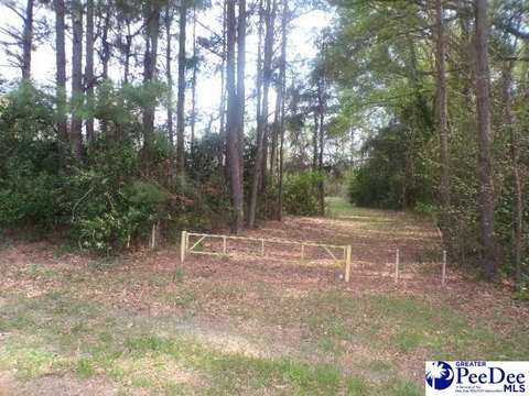 Hartsville Land Ready For Development