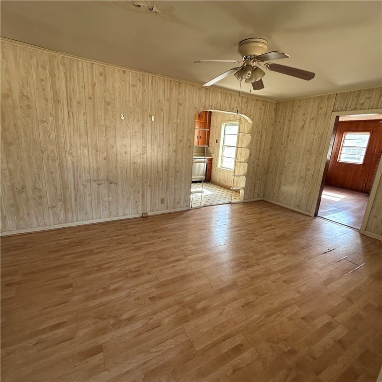 Picture 23