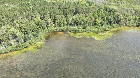 Waterfront Land with Lake Frontage