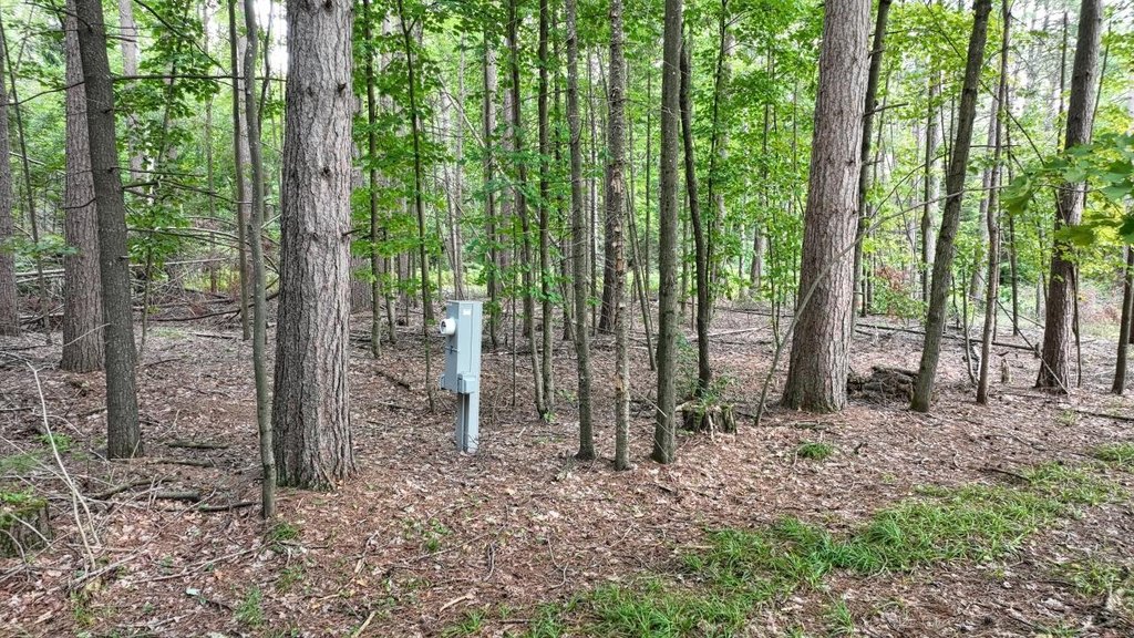 Picture 6