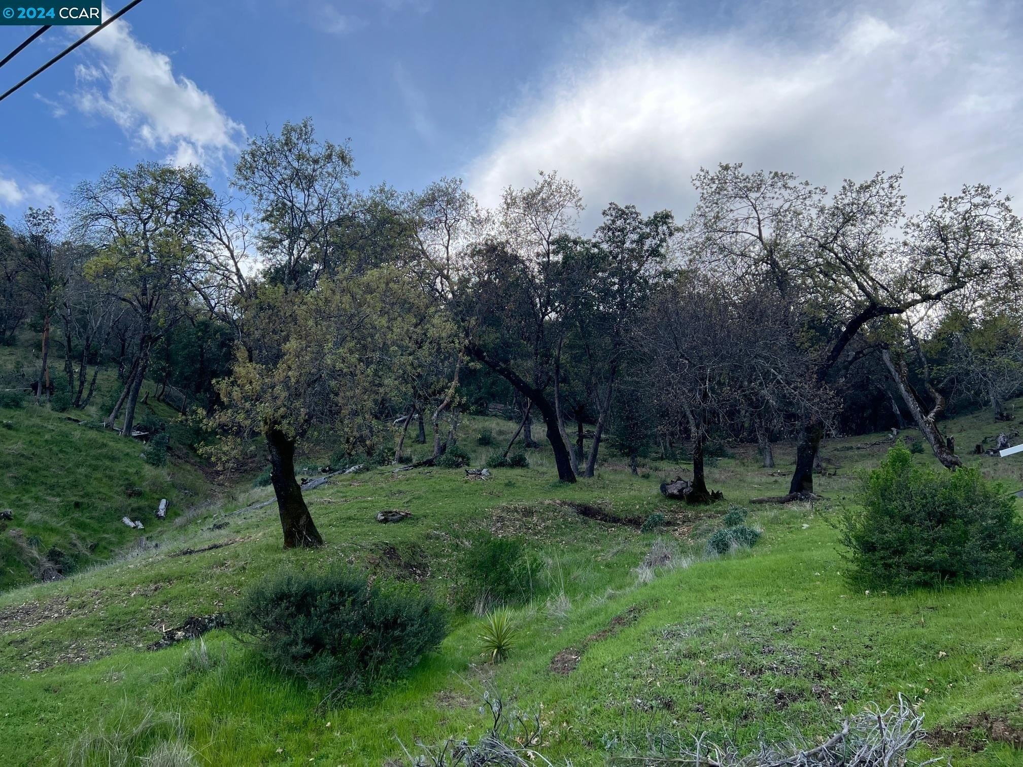 Napa Valley Land Opportunity