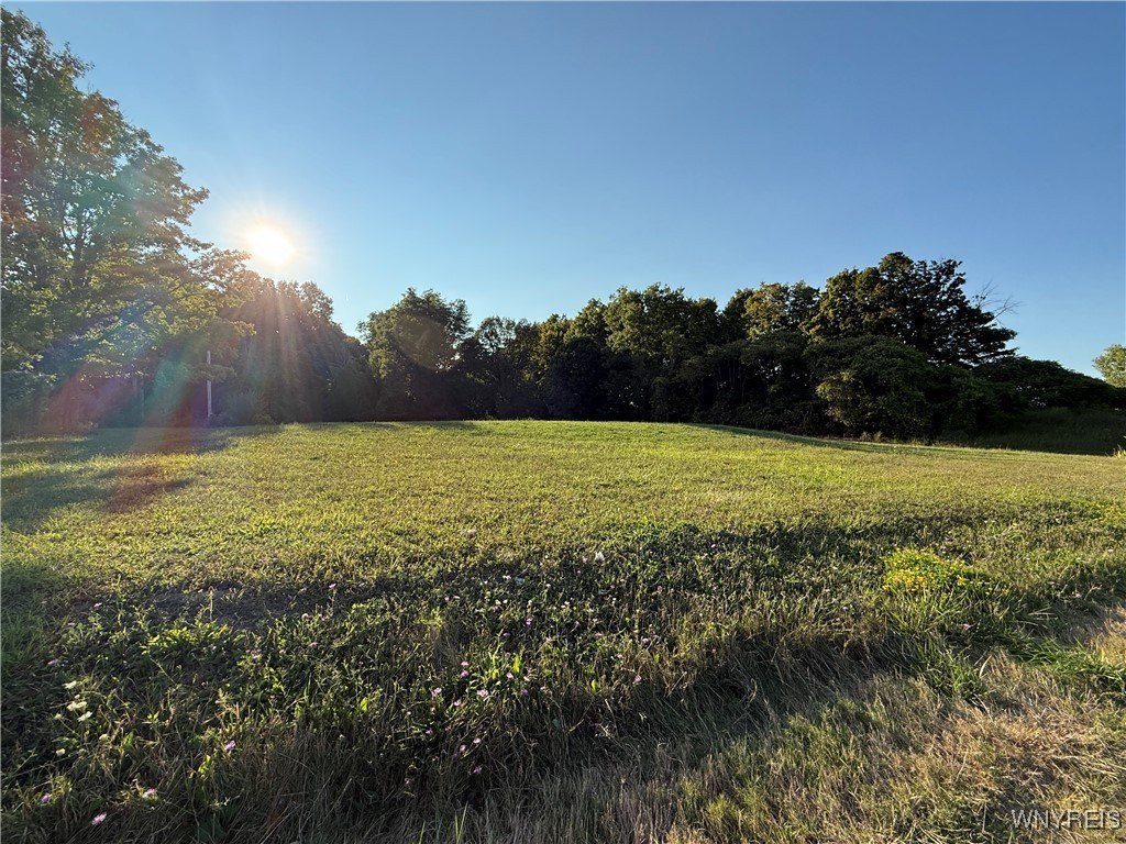 Elba, NY Land Opportunity