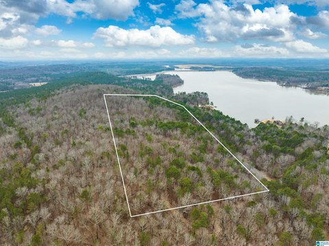 Waterfront Mountain-View Land