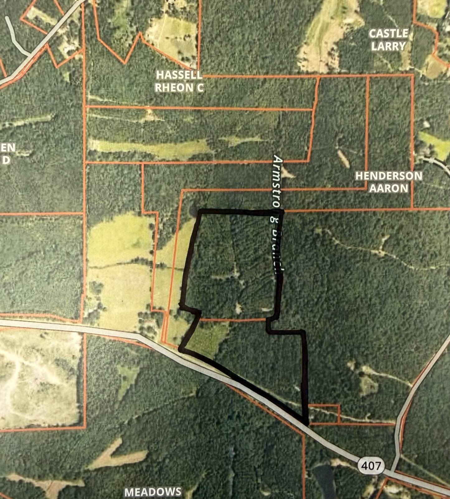 Vacant Land in Kilmichael, MS
