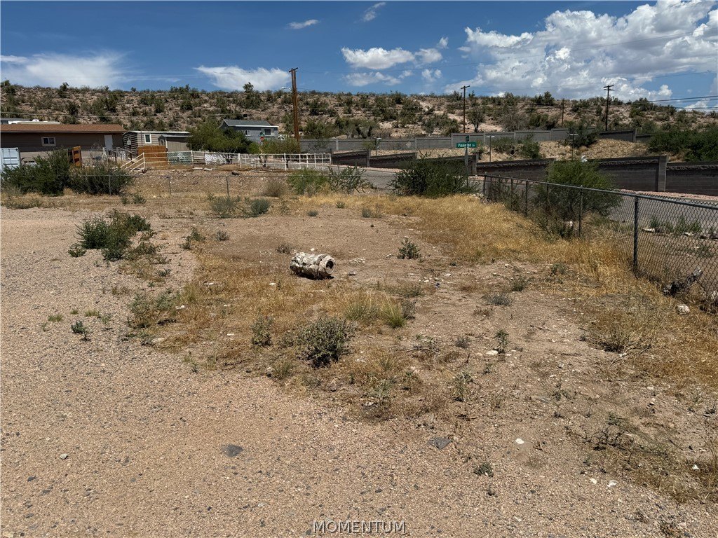 Picture 21