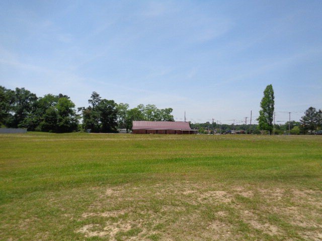 Picture 7