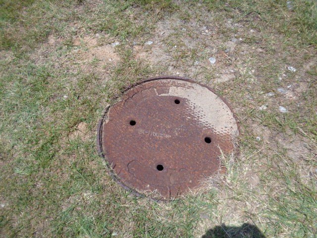 Picture 11