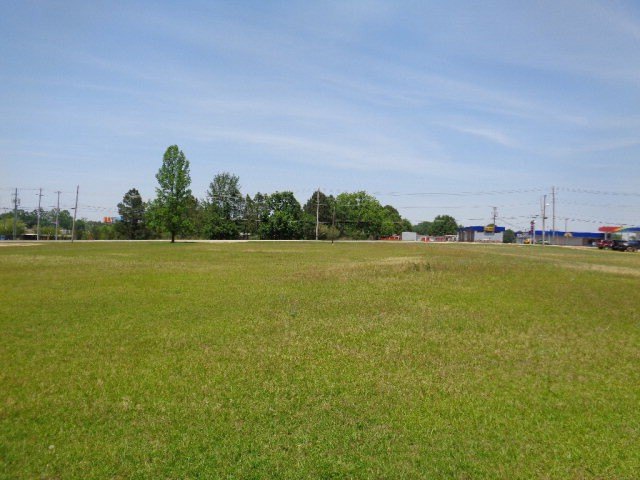 Picture 9