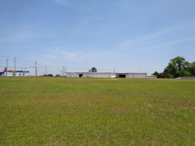 Picture 8