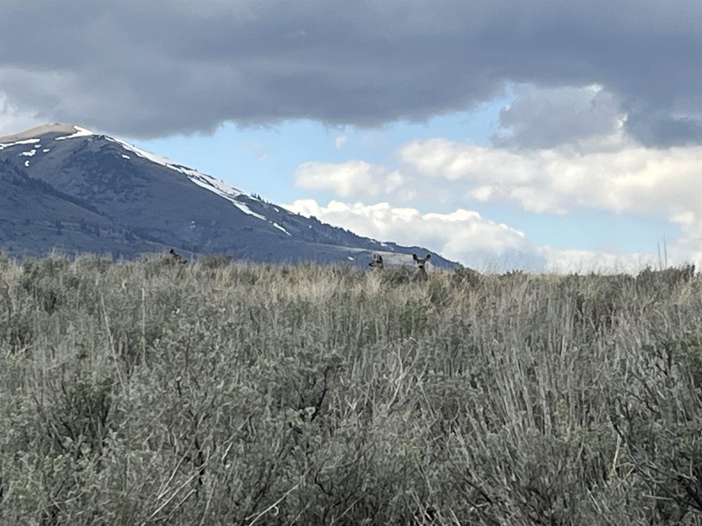 Picture 17