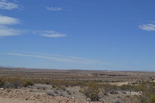 Picture 6