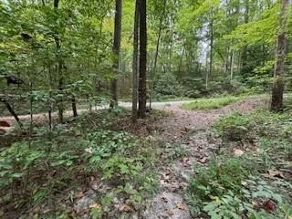 Land in Bryson City, NC