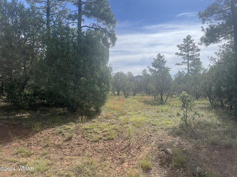 Lakeside, AZ Land For Sale