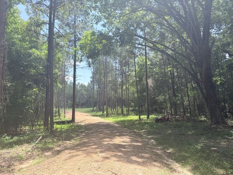 Recreational Homesite with Forest Access