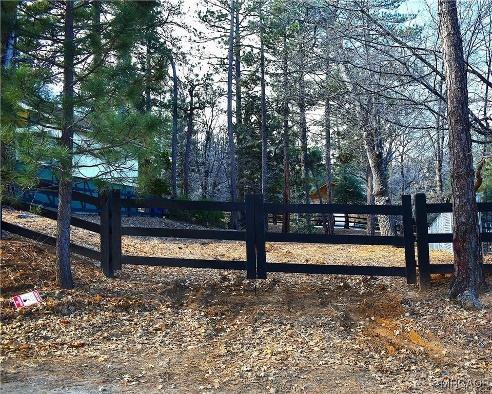 Picture 10