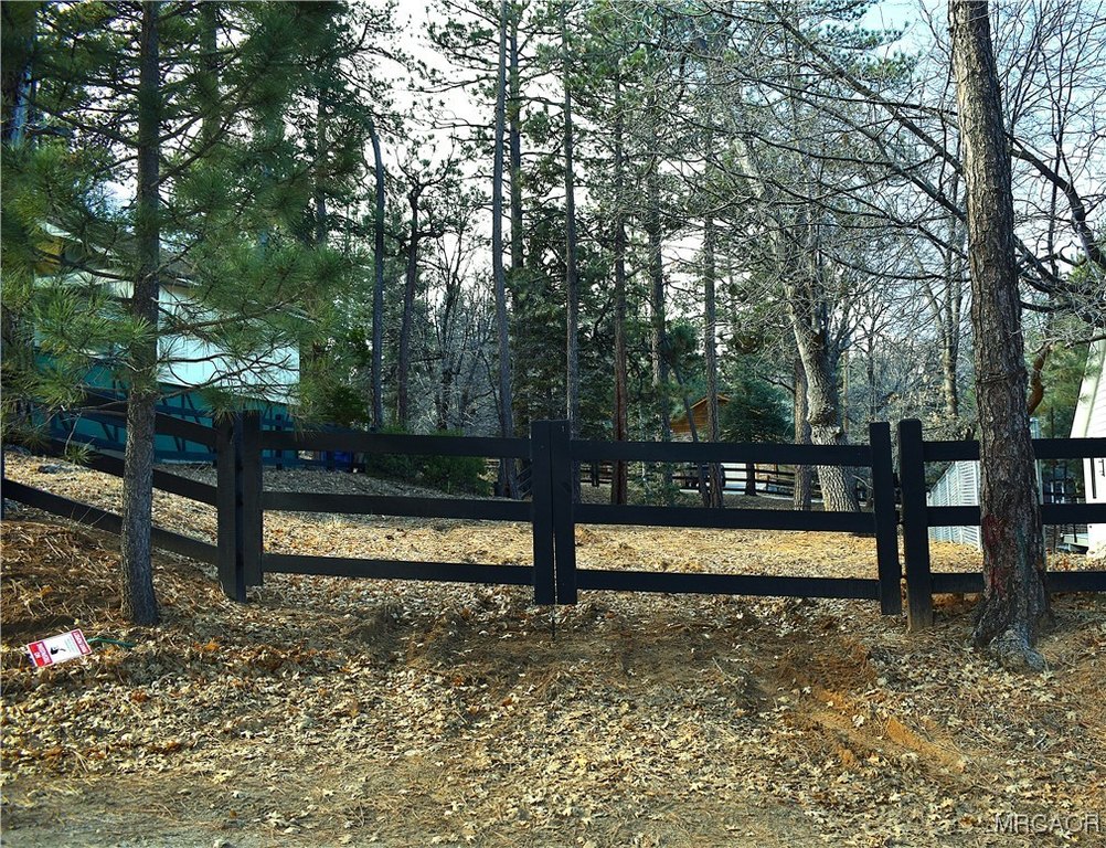 Picture 7