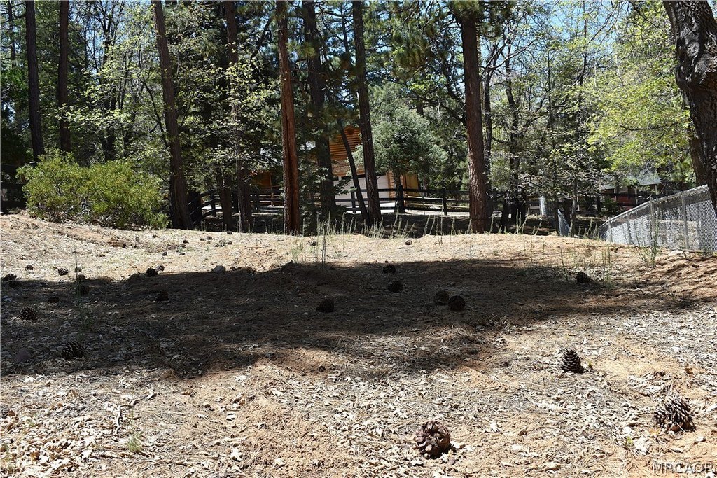 Picture 15