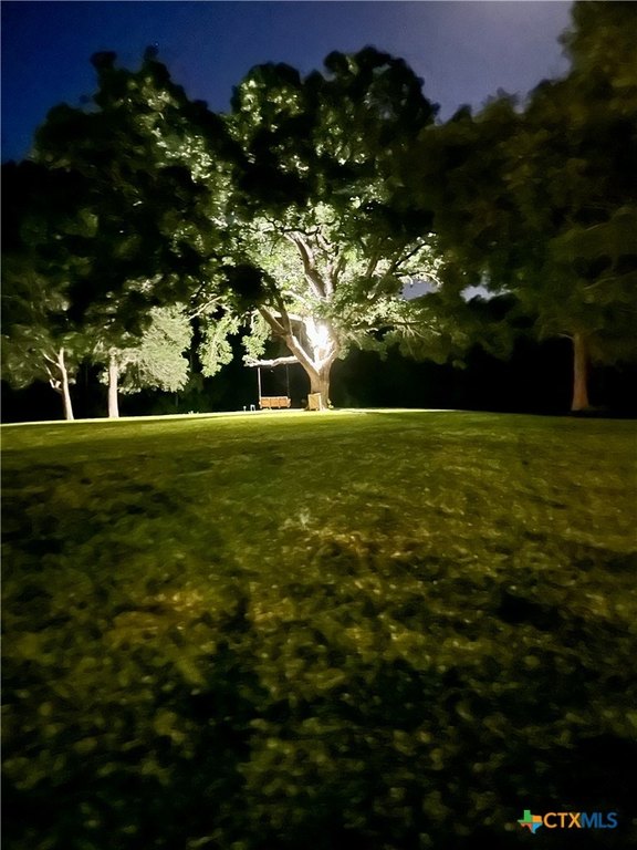 Picture 30