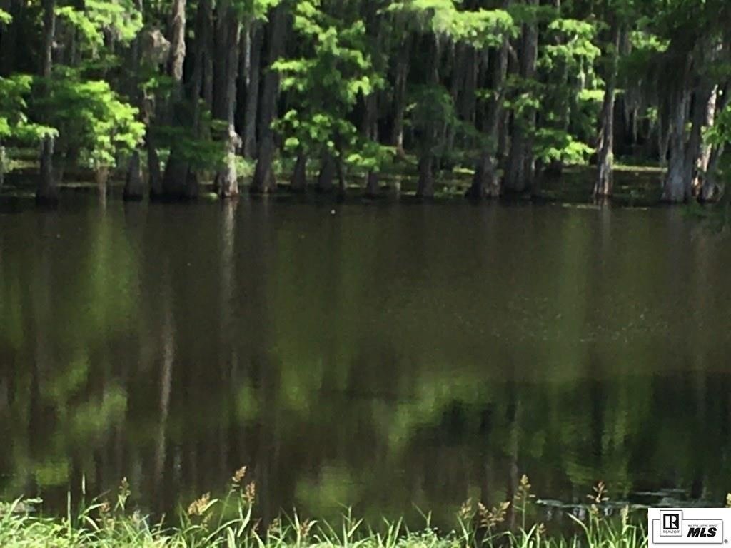 Picture 4