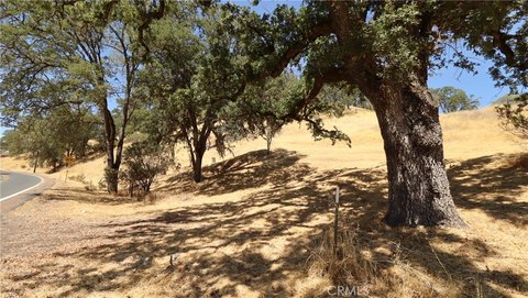 Lakeport Land with Acreage