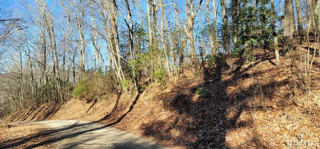 Scaly Mountain Land For Sale
