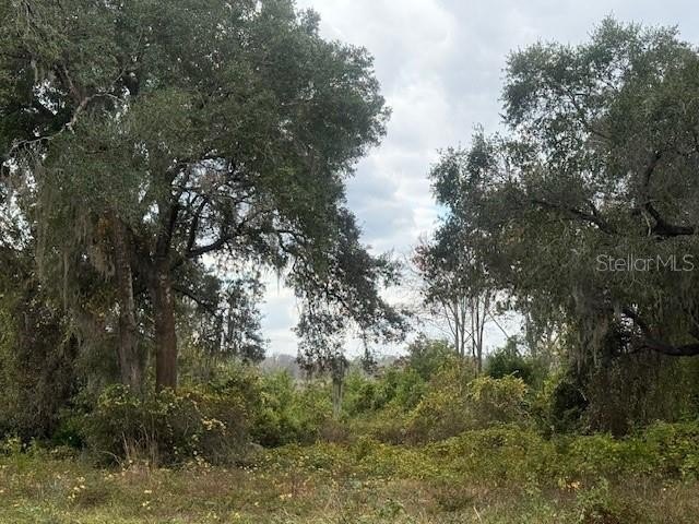 Picture 2