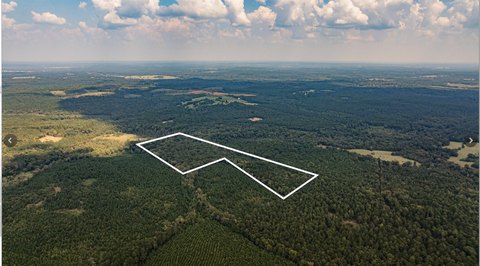 Timbered Hunting Land