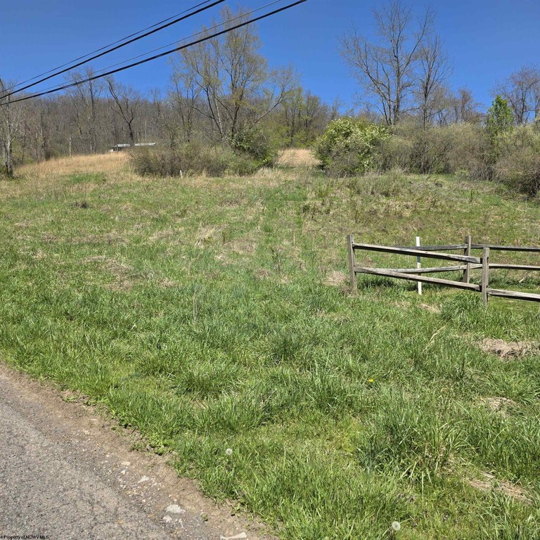 Picture 19