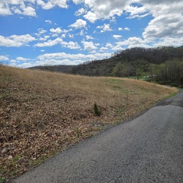 Land with Potential House Site
