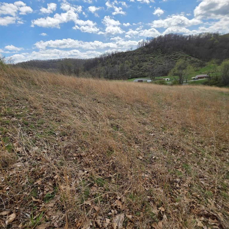 Picture 6
