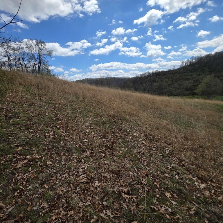 Picture 8