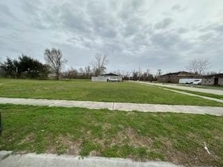 Picture 10