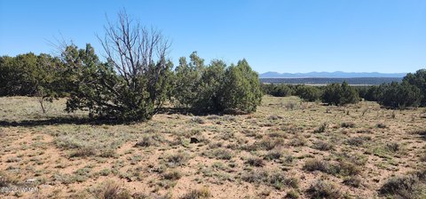 Land Parcel in Concho, Arizona