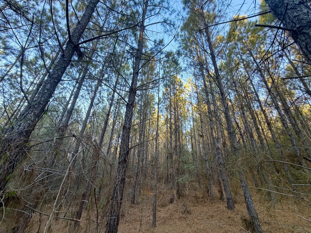 Picture 6