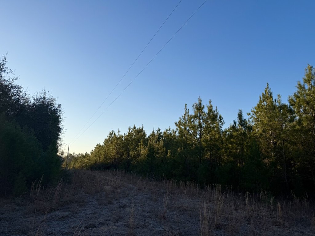 Picture 7