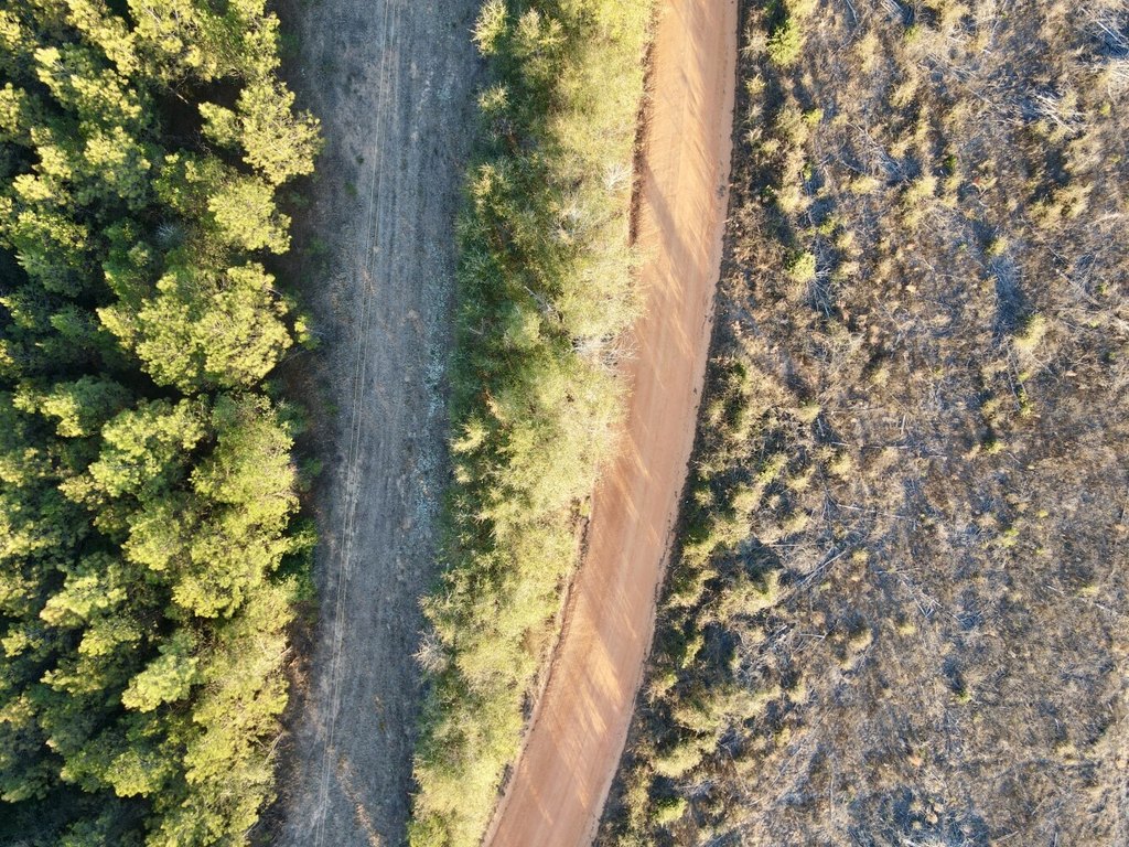 Picture 12