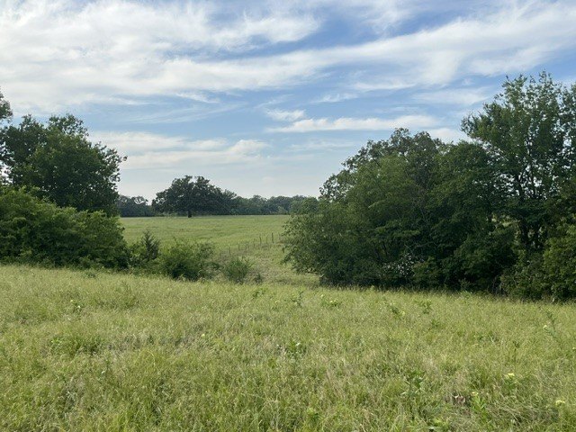 Picture 7