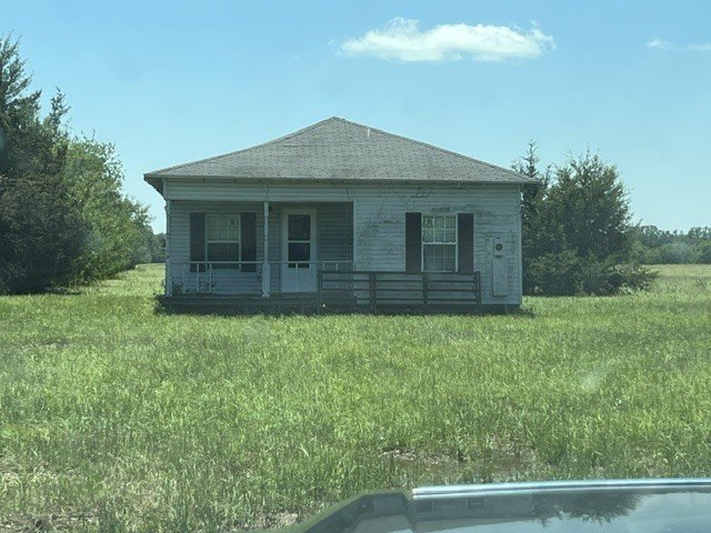 Picture 14