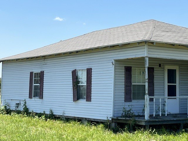 Picture 13