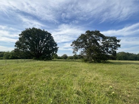 LAND - Paris, TX