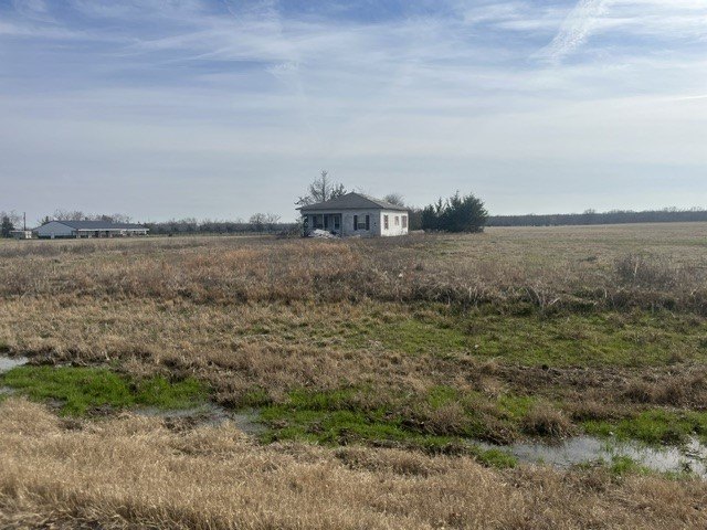 Picture 11