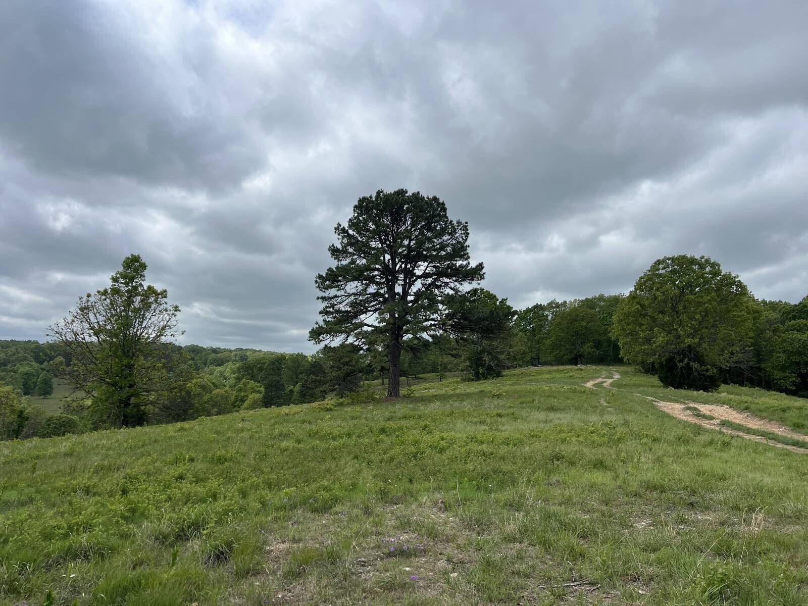 Prime Recreational and Hunting Land