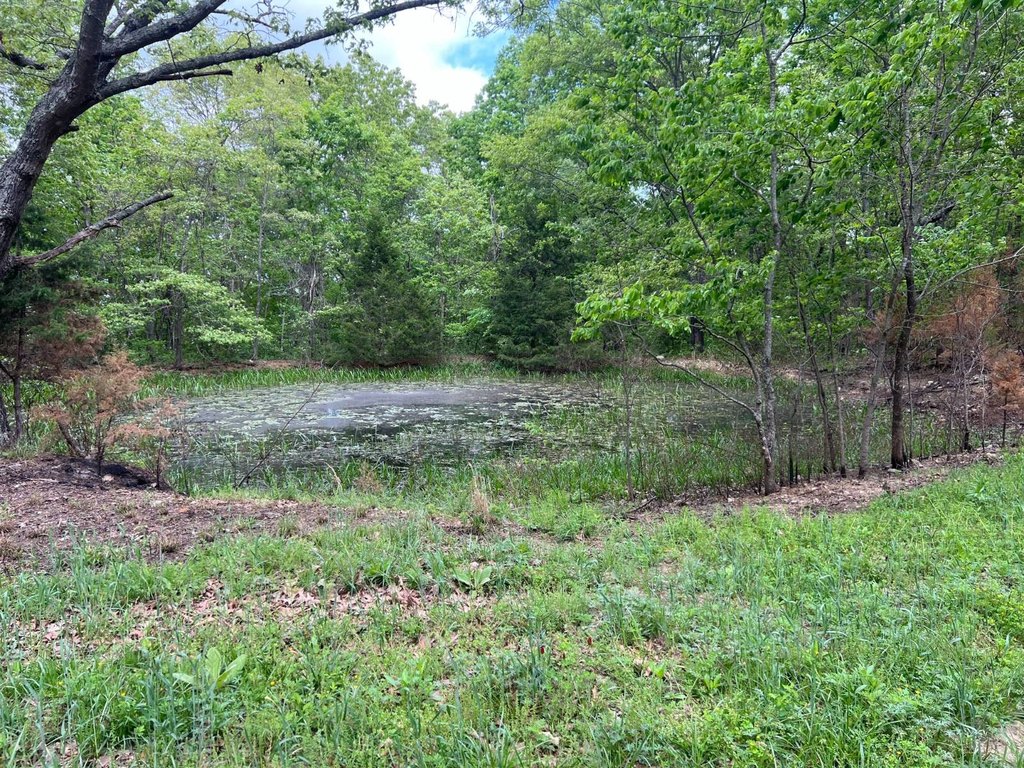 Picture 26