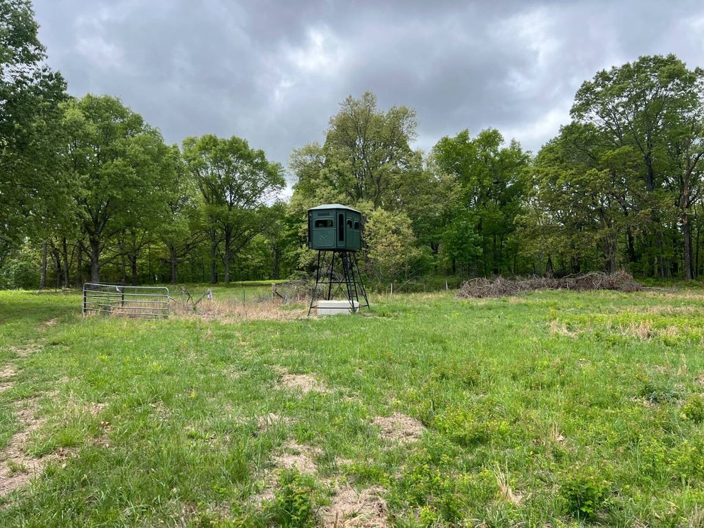 Picture 37