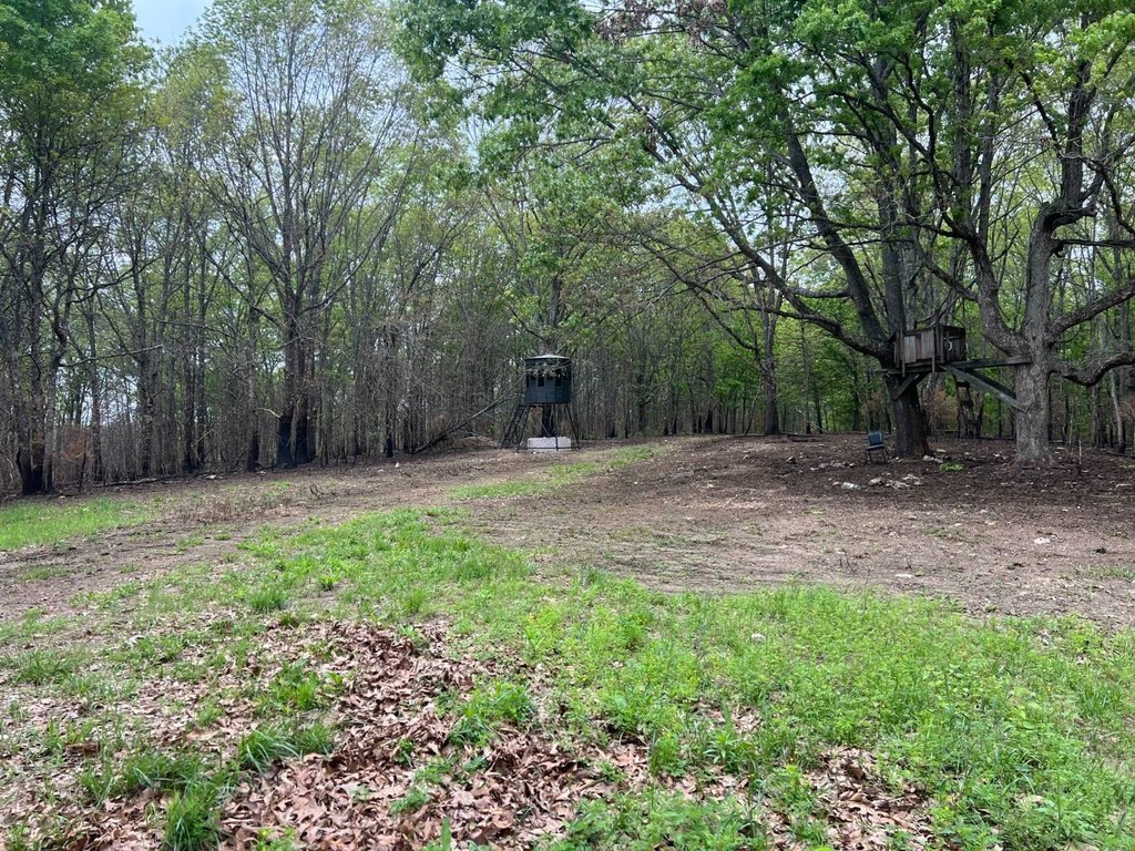 Picture 28