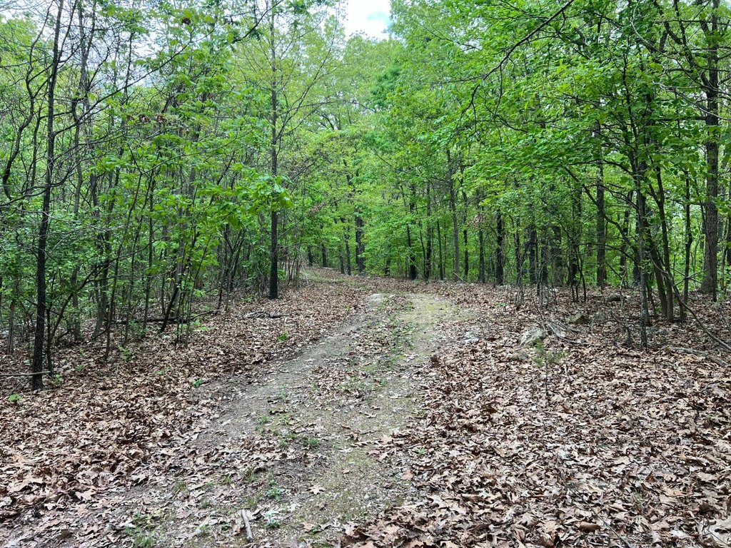 Picture 21