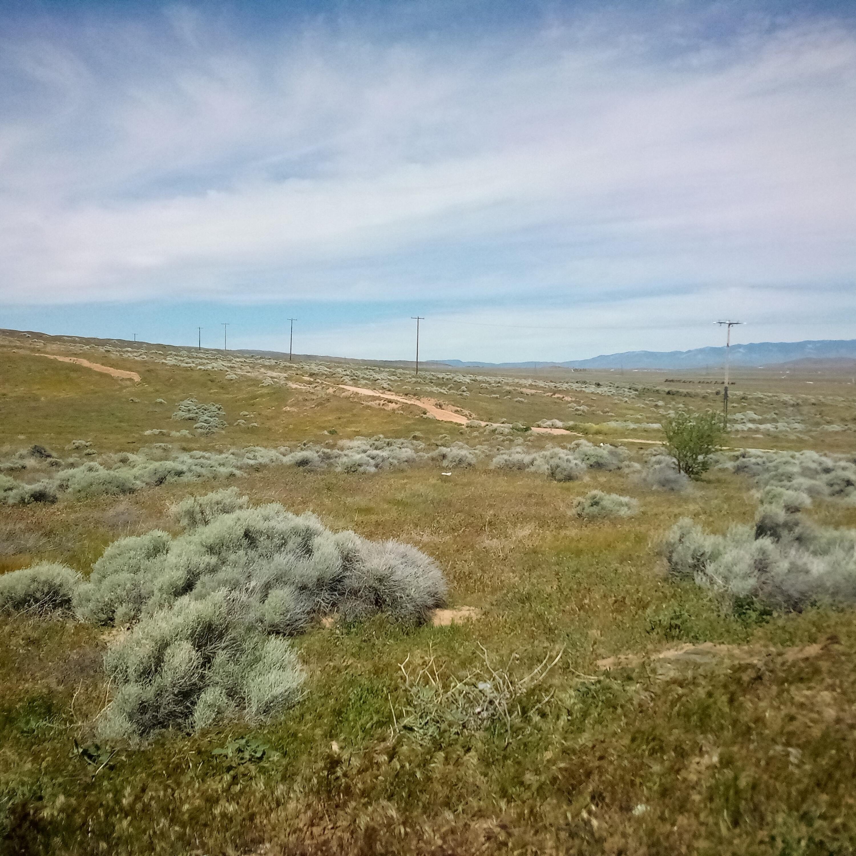 Del Sur Land For Sale